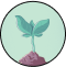 plant icon